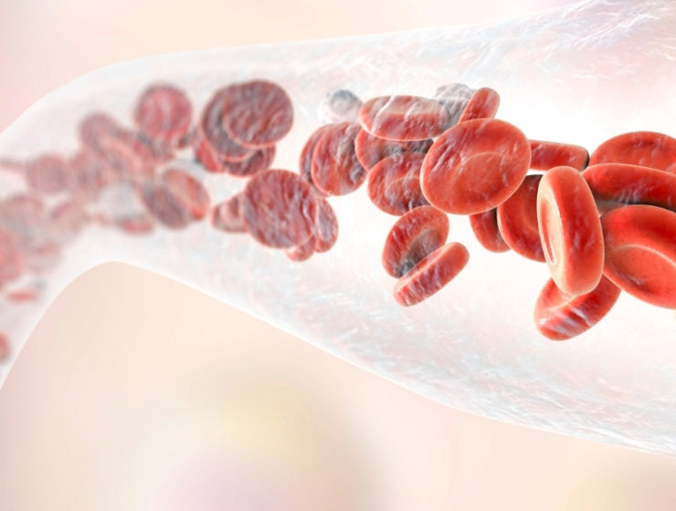 microcirculation, corps humain