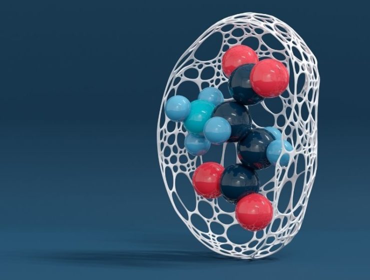 cerveau neurotransmetteur corps humain
