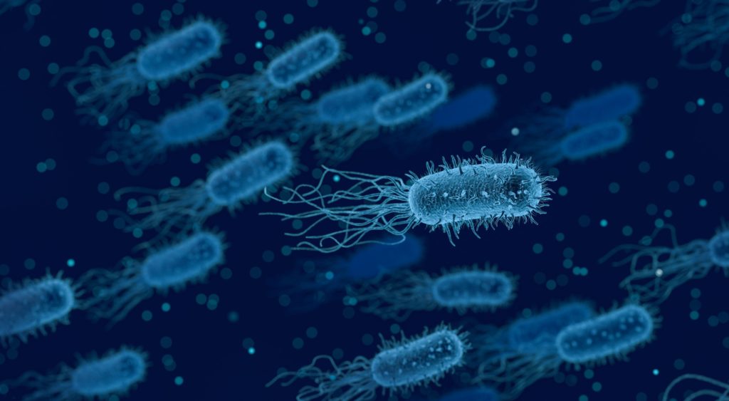 Défenses naturelles pour renforcer son immunité