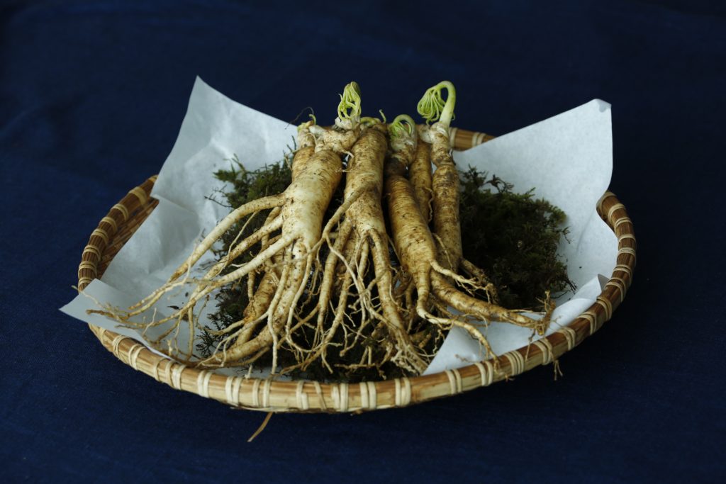 Plantes médecine traditionnelle chinoise