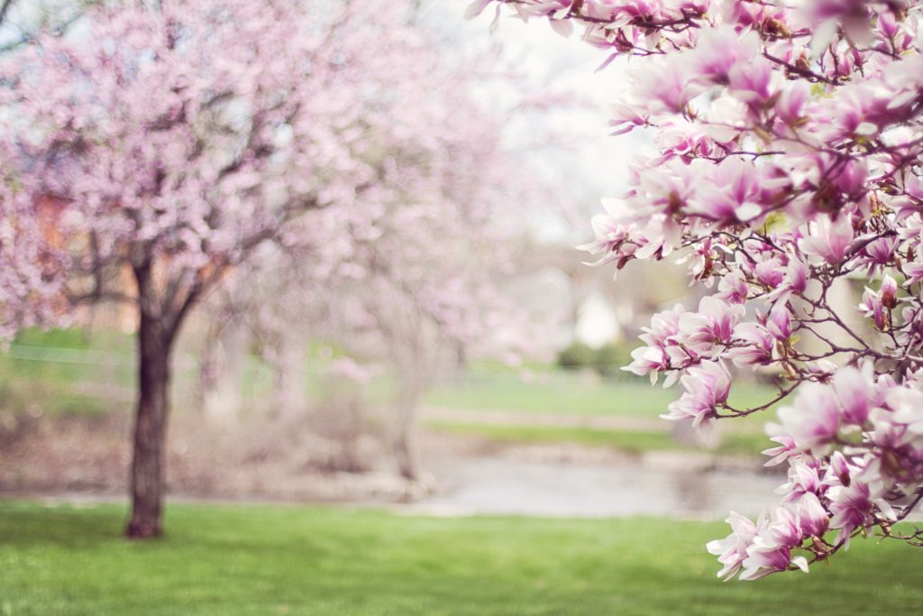 changement saison le printemps