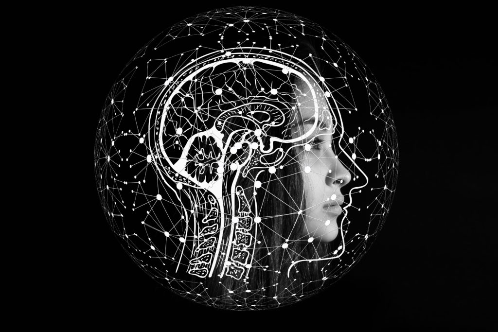 Cerveau fonctionnement