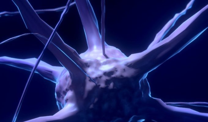 Intestin neurones 2e cerveau