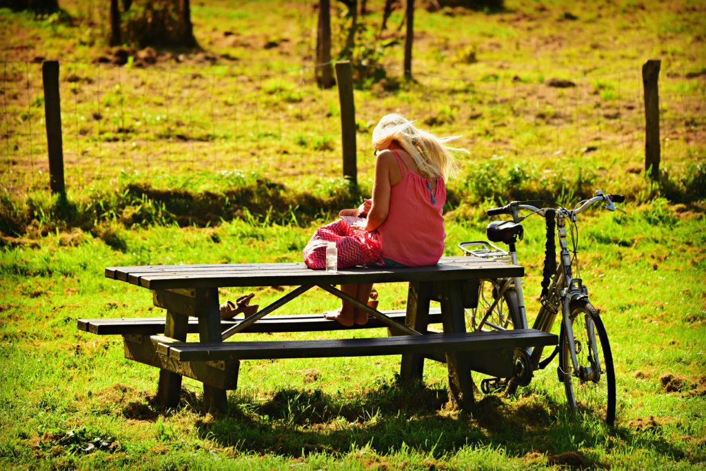 pique nique plein air