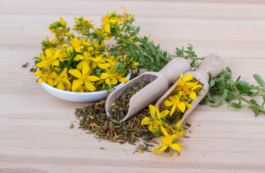 plantes pour cure phyto