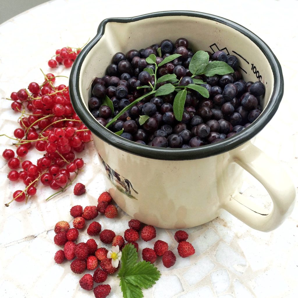 myrtilles et fruits rouges