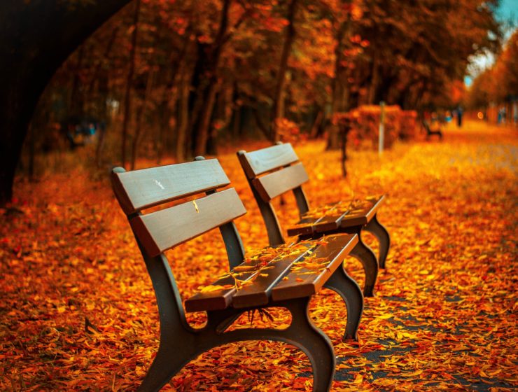 saisons : arrivée de l'automne