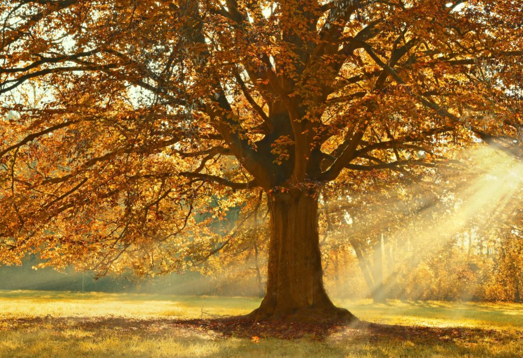 changement de saisons