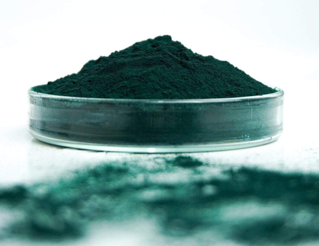 algue phycocyanine