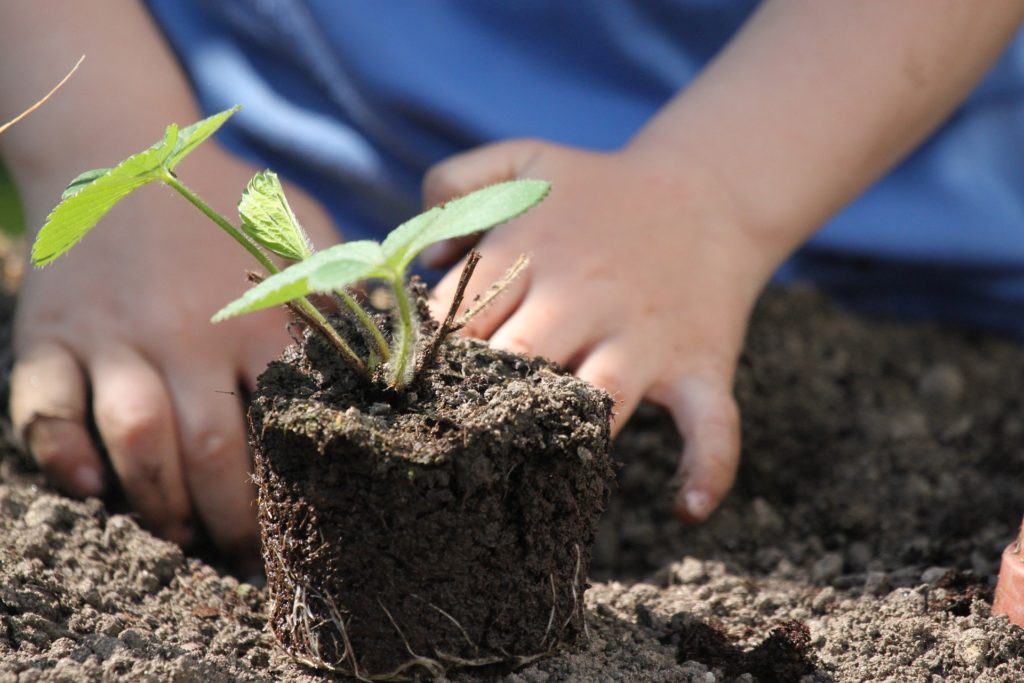 valeurs enfants jardinage