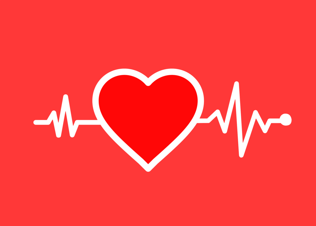 cœur santé cardiovasculaire