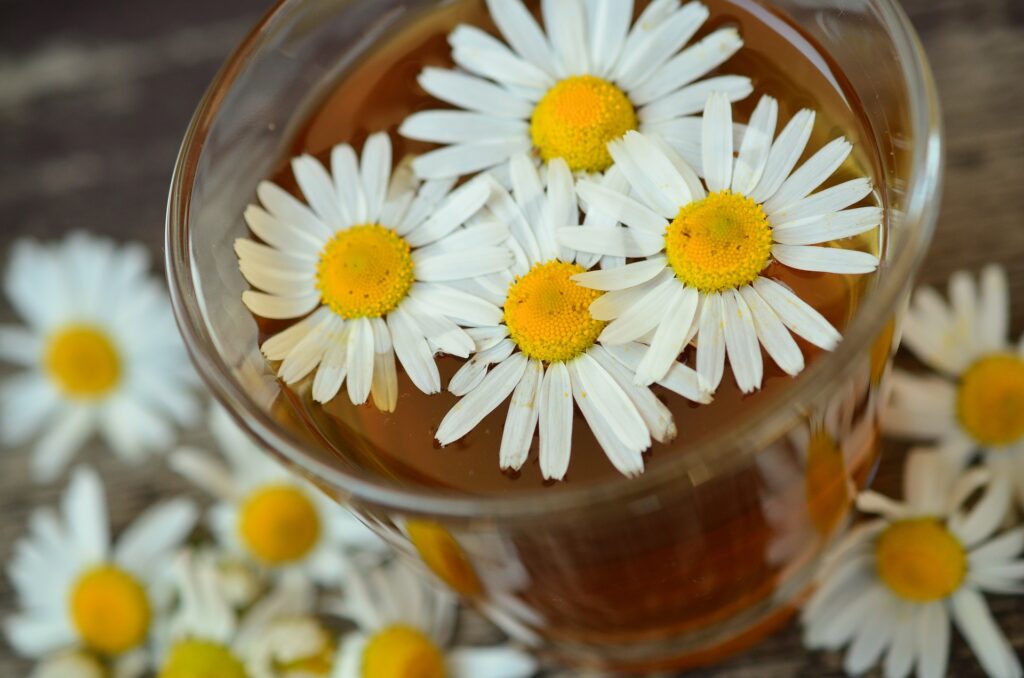 Infusion de camomille rafraichissante