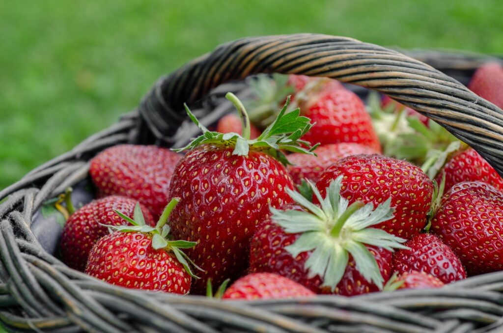 fraises