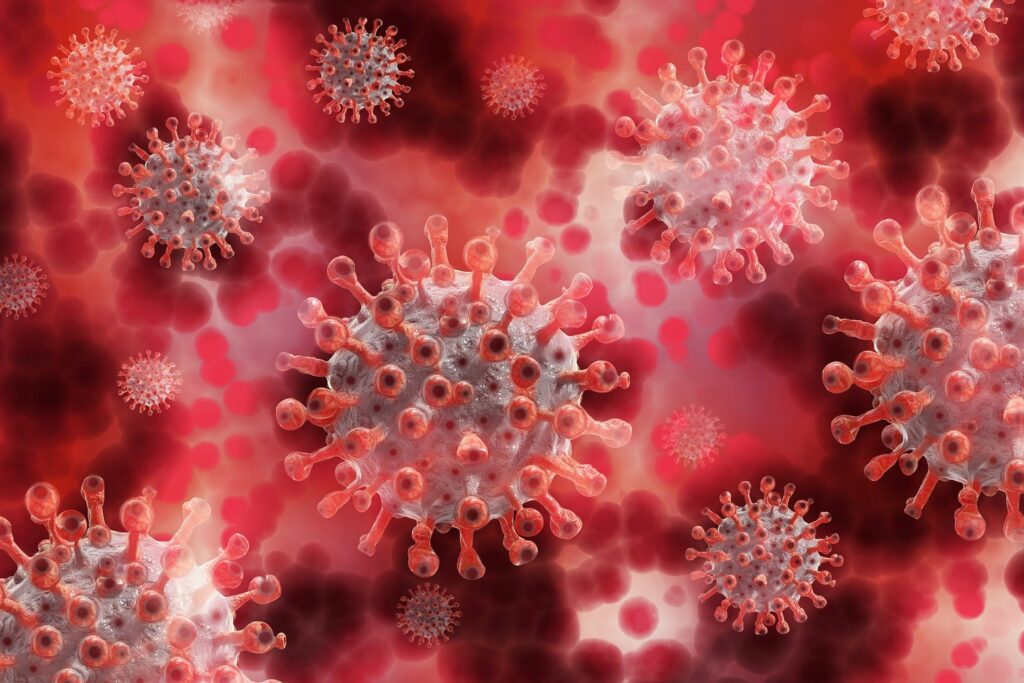 Anomalies interne et maladies auto-immunes