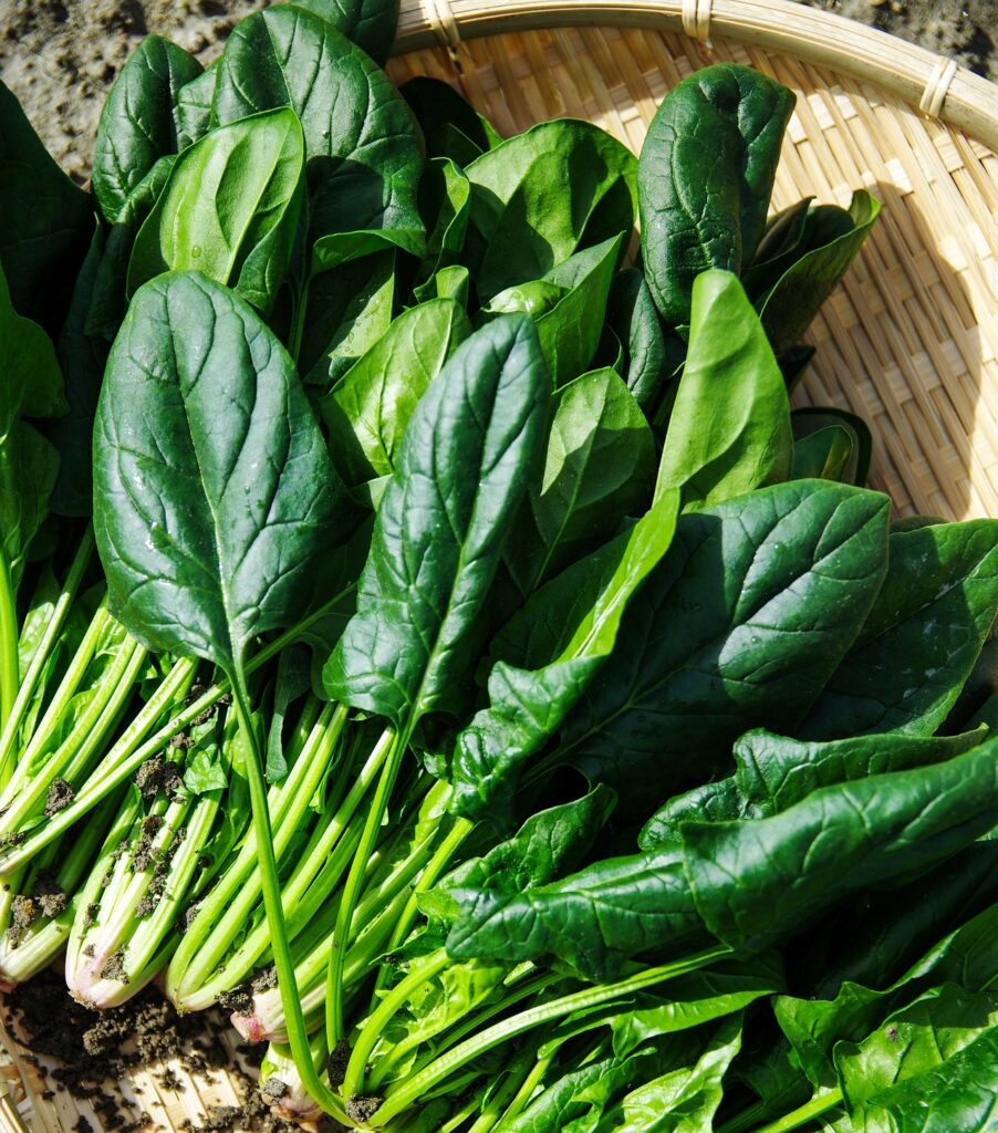 légumes verts acido-basique